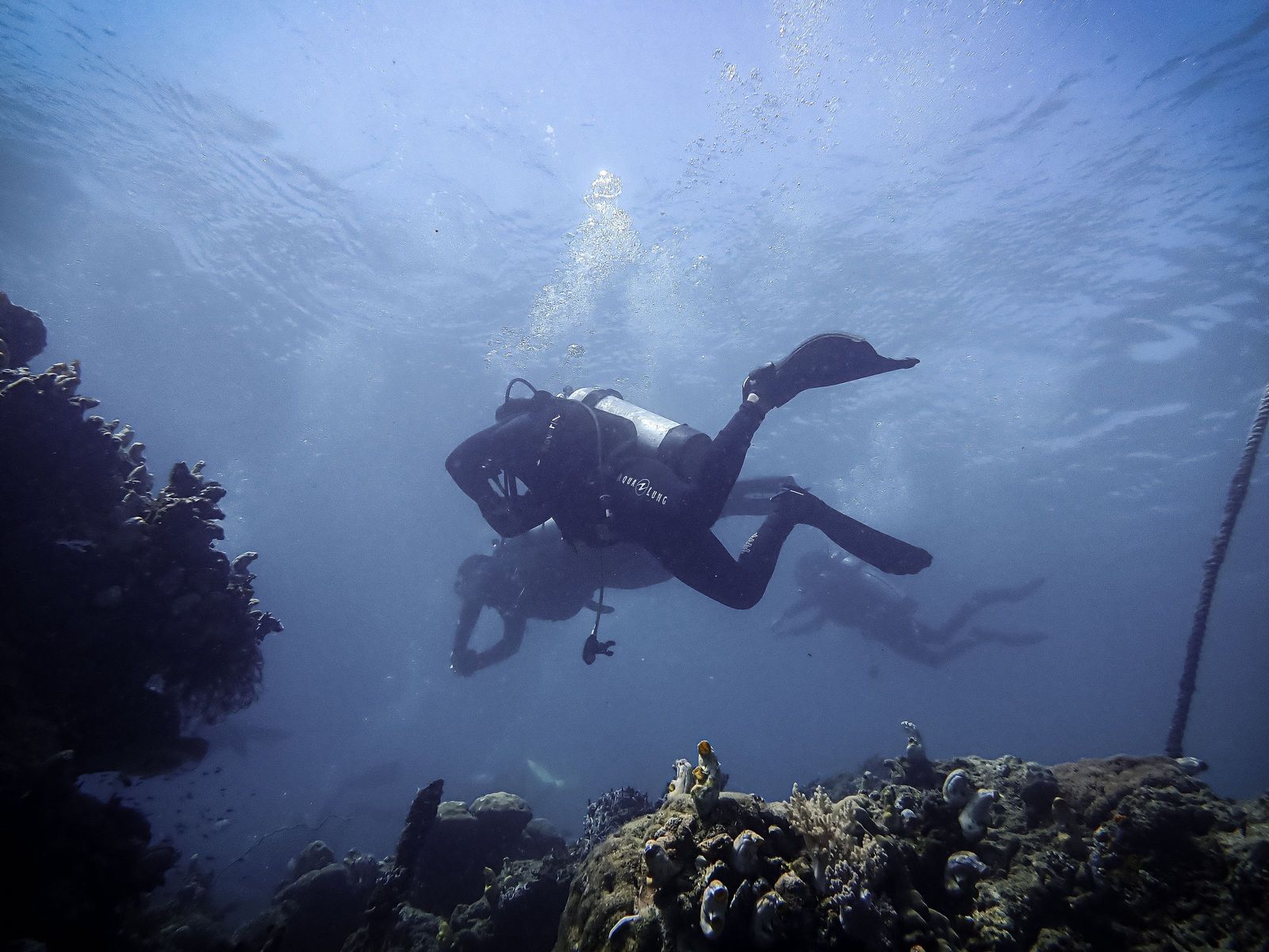 Divers over a reef slope