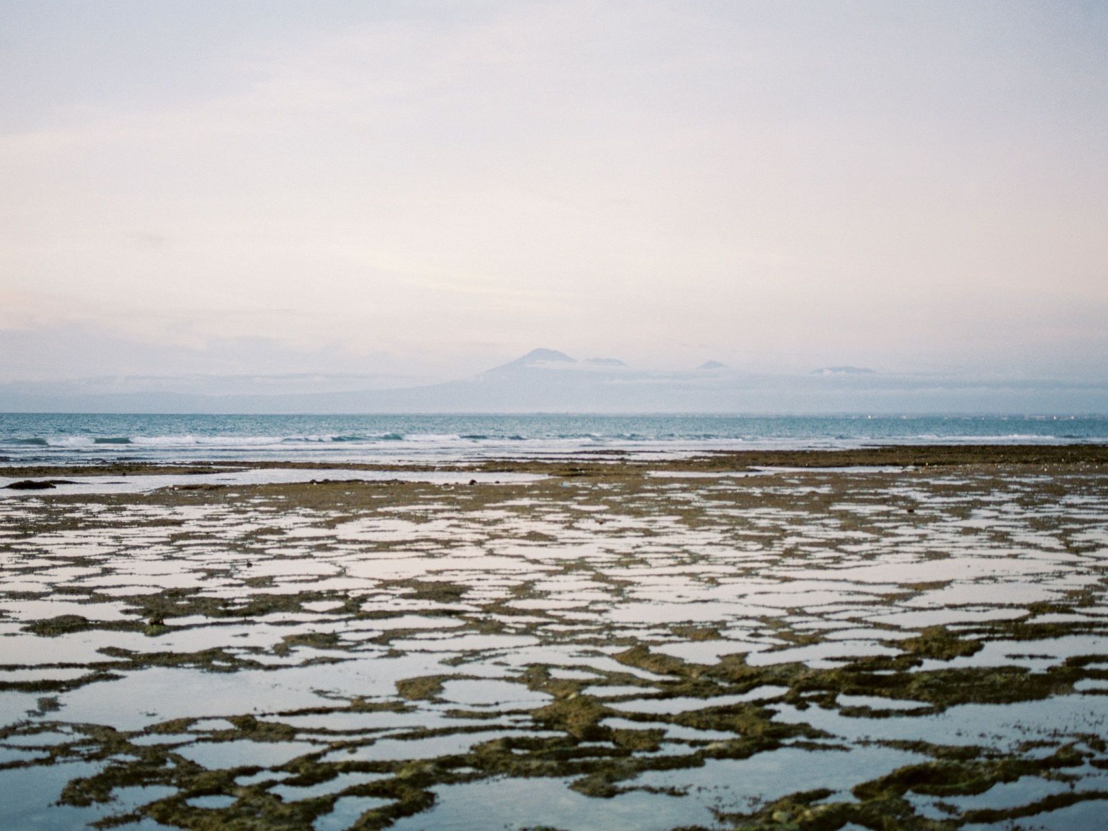 Seaweed plots at low tide, mountains beyond